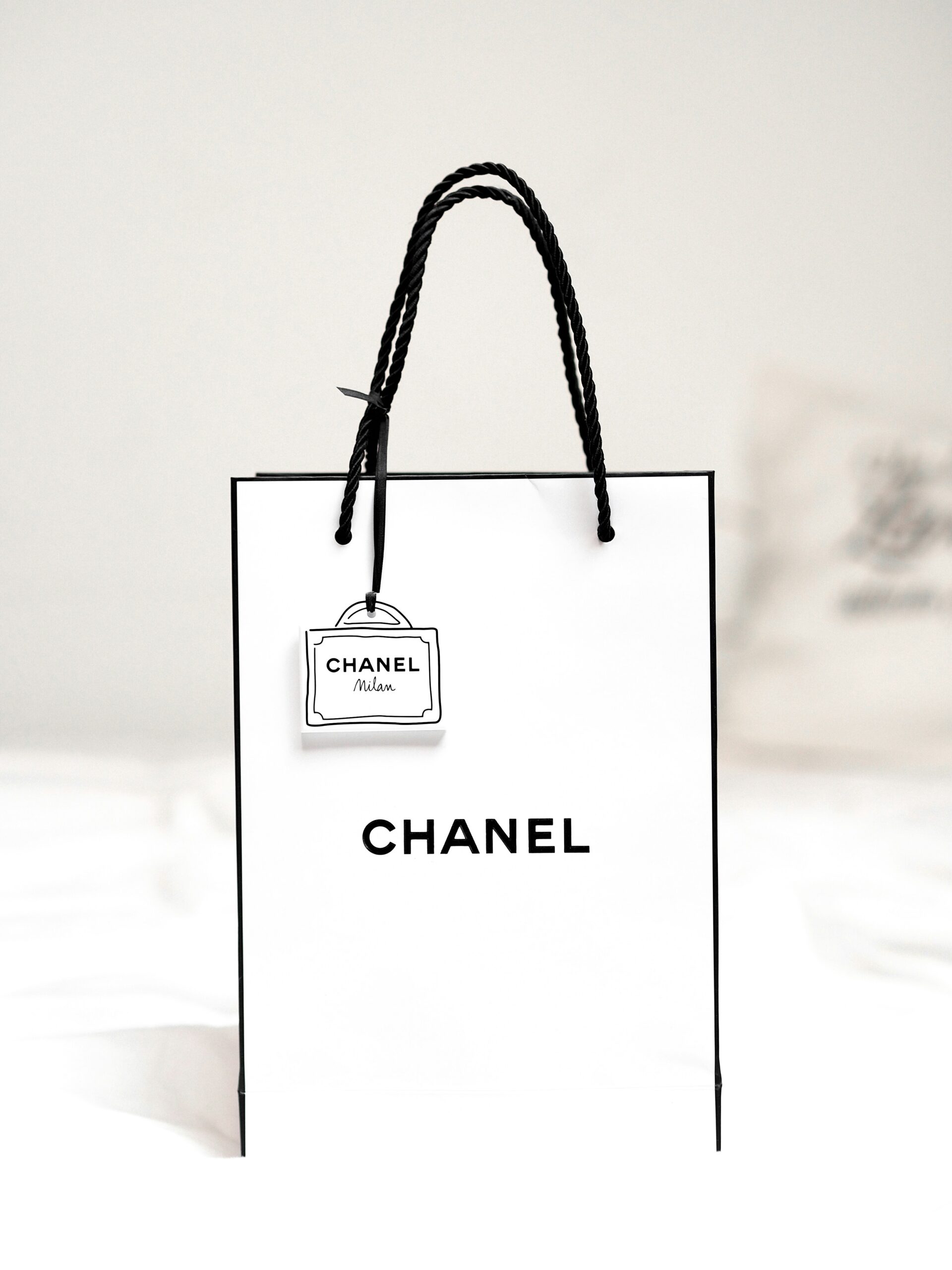 Go Green with Eco-Friendly Non Woven Shopping Bags in Panipat – Hanu Packaging Industries